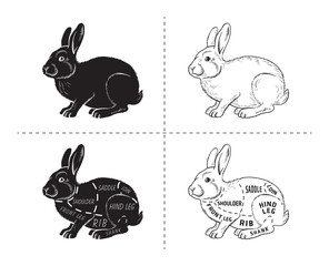 Cut of rabbit. Poster Butcher diagram for groceries, meat stores, butcher shop, farmer market. Poster for meat related theme. Rabbit silhouette. Vector illustration.