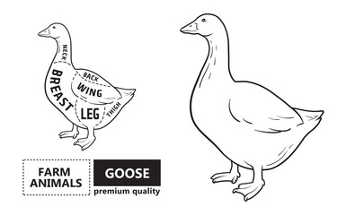 Cut of meat set. Poster Butcher diagram, scheme - Goose. Vintage typographic hand-drawn goose silhouette for butcher shop, restaurant menu, graphic design. Meat, poultry theme. Vector Illustration