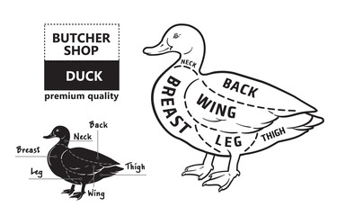Typographic duck butcher cuts diagram scheme. Premium guide meat label