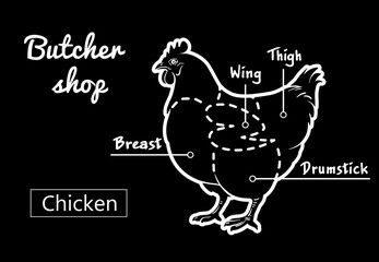 Cut of meat set. Poster Butcher diagram and scheme - Chicken. Vintage typographic hand-drawn. Vector illustration