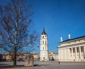 Fototapeta na wymiar Vilnius,Gediminas Square