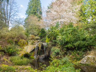 Bellevue Botanical Garden