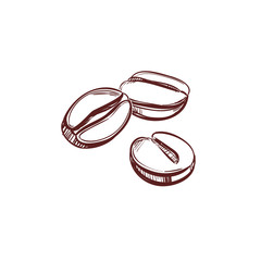 Coffee beans icon sketch. Vector hand drawn illustration