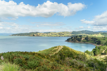 Fototapeta na wymiar scenic shot of shore in Waitawa Regional Park, New Zealand