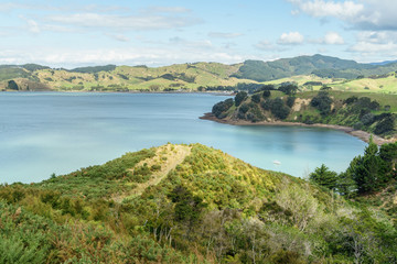 Fototapeta na wymiar scenic shot of beautiful shore in Waitawa Regional Park, New Zealand