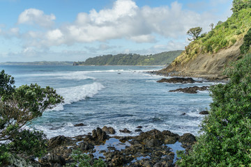 Obraz premium wavy ocean with rocky coast on cloudy day, Leigh beach, New Zealand