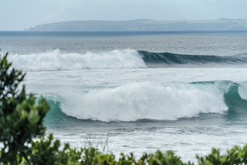 dramatic shot of wavy ocean with mountains in the distance and green branches on foreground, Leigh beach, New Zealand