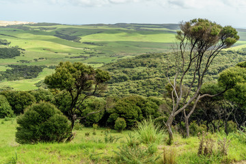 Fototapeta na wymiar beautiful green valley on cloudy day, New Zealand