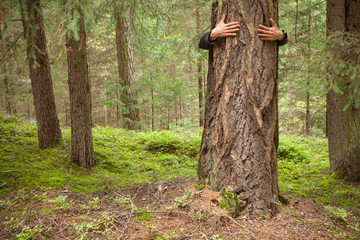 a boy hugging a tree in the woods