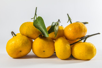 Group of leaves with mandarin oranges