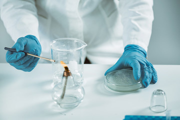 Microbiology. Hands of a microbiologist working with bacteria