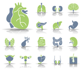 Der Mensch - Organe Iconset (Grün/ Grau)