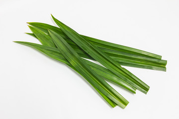 Fresh pandan on a white background.