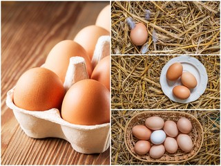 set of photos with chicken brown eggs in packing
