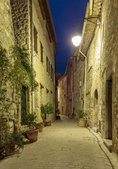 Narrow cobbled street with flowers in the old village Tourrettes-sur-Loup at night, France.