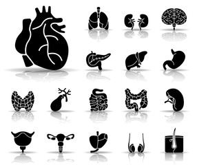 Der Mensch - Organe Iconset (Schwarz)