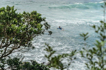 aerial view of man swimming on surfboard with green trees on foreground, Leigh beach, New Zealand