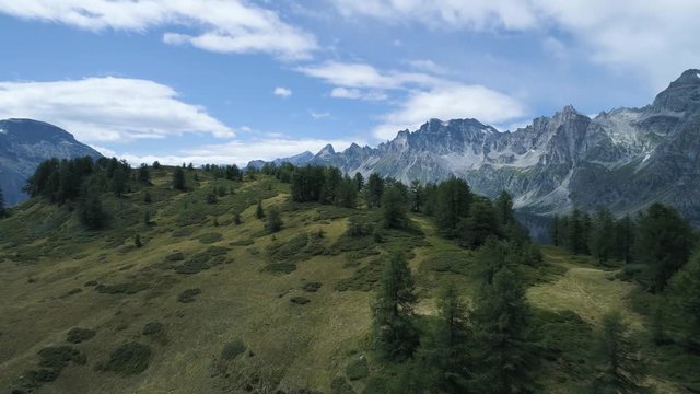 aerial forward over pine forest woods hill to alpine mountain valley in sunny summer with clouds.Alps outdoors green nature scape mountains wild aerial establisher.4k drone flight establishing shot