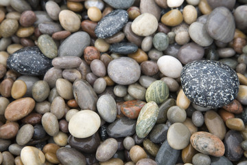 Bunte Kiesel am Strand, Irland