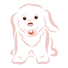 Bright cheerful fluffy puppy, joy