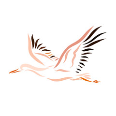A flying bird, a stork