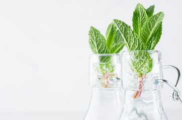 Elegant soft white summer background - young mint leaves closeup in transparent bottles with sparkling bubbles on light wood table, copy space.