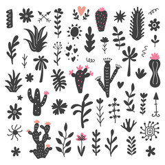 Hand drawn wild cactus flowers, tropical succulent plants set