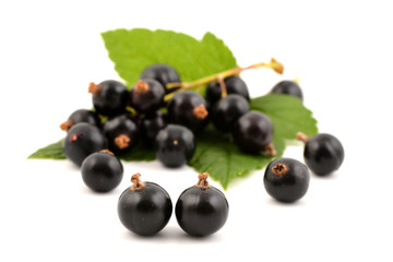 Black currant on white bakground. Currant berries with leaves.