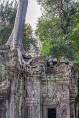 Cambodia Angkor Complex 360
