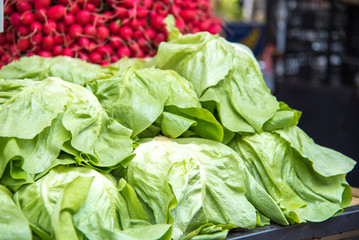 Fresh green salads and turnips at the food market
