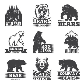 Sport labels with illustrations of animals. Pictures of bears for logo design