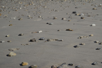 Piedras en la Arena Mojada