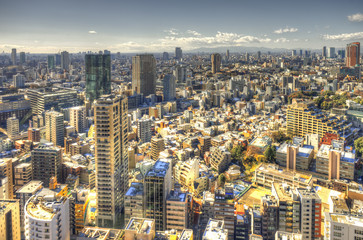 Fototapeta na wymiar Tokio.