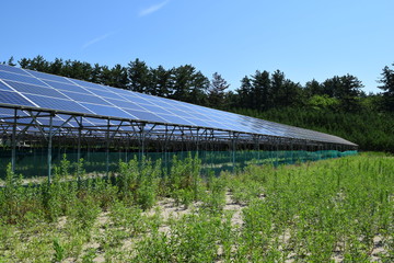 ソーラーパネル