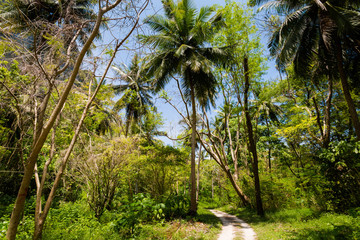 Tropical landscape of Koh Poda