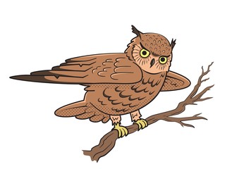 Owl sitting on a tree branch. Symbol of wisdom. Vector illustration, isolated on white background.