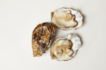 Open fresh oyster clams isolated on white