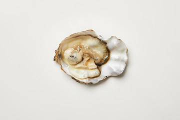 Open fresh oyster clam isolated on white