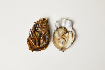 Open fresh oyster clams isolated on white