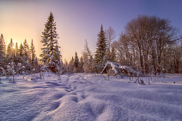 Winter landscape with sunset in forest