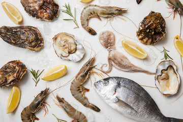 Selection of raw seafood products with herbs and lemons isolated on white
