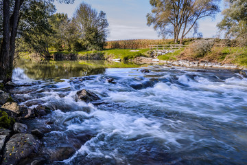 Fluss Raab im Burgenland