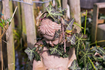 Garden statue of an Angel overgrown with Ivy