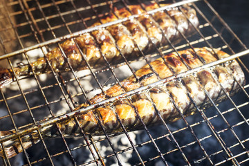 Two mackerels are cooking on the grill. Summer barbecue in nature. Family rest and healthy eating