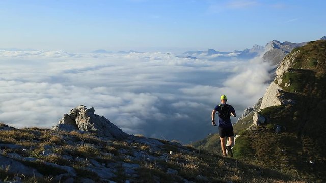 Athlete trail running in the mountains on a beautiful morning. Vercors, France.