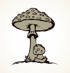 Poisonous fungus. Vector drawing