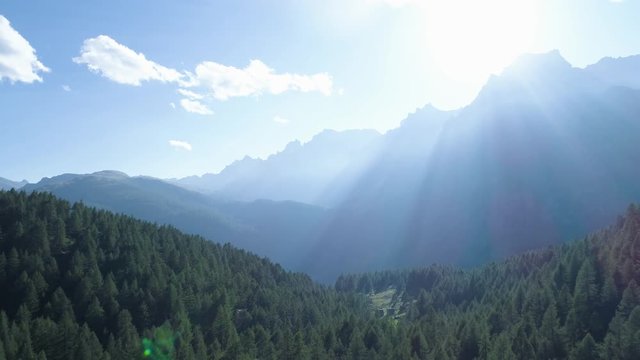 moving backward to pine woods forest and mountain valley with sun flare in summer day.Europe Italy Alps outdoor green nature scape mountains wild aerial establisher.4k drone flight establishing shot