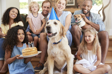 Two families celebrating pet dogÕs birthday at home