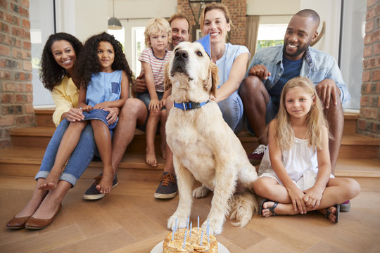 Two Families Celebrating Pet DogÕs Birthday At Home