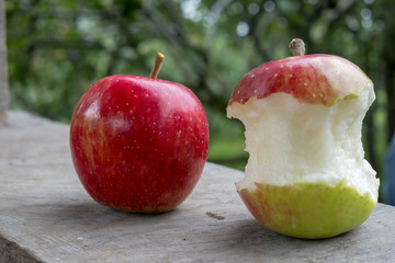 Big red and green apple was bite 